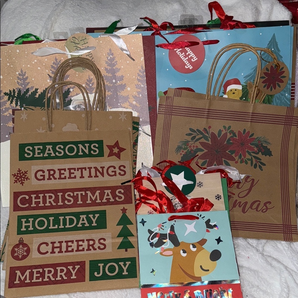 Festive Holiday Gift Bags Set - Red, Green, Brown